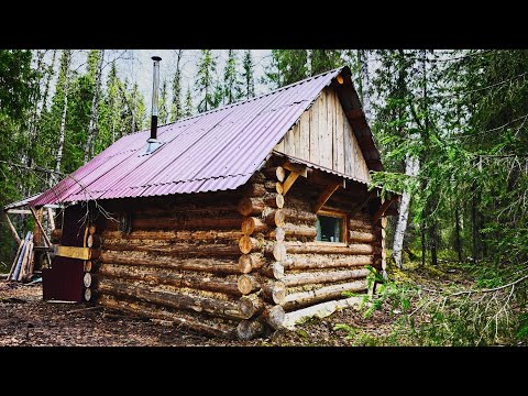 Видео: 3 ДНЯ В ИЗБЕ С ЛАЙКОЙ. Ищем Глухарей на Току. ФотоОхота из Скрадка.