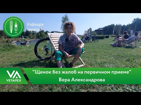 Видео: Кафедра Терапии -"Щенок без жалоб на первичном приеме"