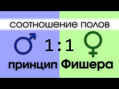 Видео: Принцип Фишера. Соотношение полов. Эволюционно стабильная стратегия.