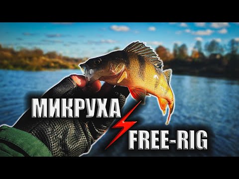 Видео: МИКРОДЖИГ или FREE-RIG? Что и Когда Применять?