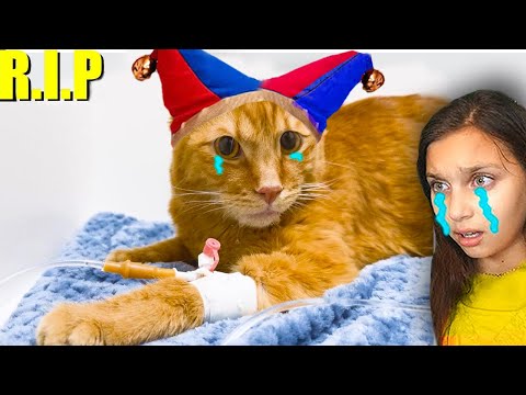 Видео: 😥ПОМНИ КОТИК СИМБОЧКА Младший УМЕР 🐱😭 В РЕАЛЬНОЙ ЖИЗНИ digital circus цифровой цирк Симба Валеришка