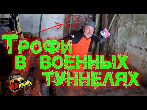 Видео: Кругом тайга, трофи-рейд, г. Томск