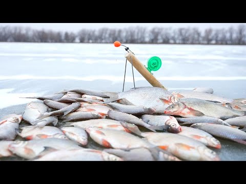 Видео: СДЕЛАЛ УДОЧКУ САМ и НАЛОВИЛ МНОГО РЫБЫ. Клёв бешеный.