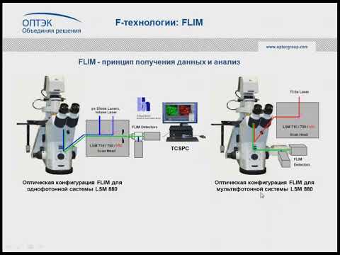 Видео: Вебинар «F технологии в микроскопии», часть 4  FLIM