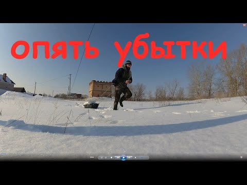 Видео: Минус гусь мыши атакуют