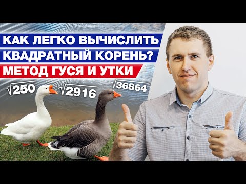 Видео: Как вычислить квадратный корень методом «Гуся и утки»? / Самый удобный метод вычисления корней