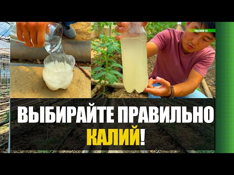 Видео: НЕ ПЕРЕПЛАЧИВАЙТЕ ЗА #удобрения  ВЫБИРАЙТЕ ПРАВИЛЬНЫЙ #калий !