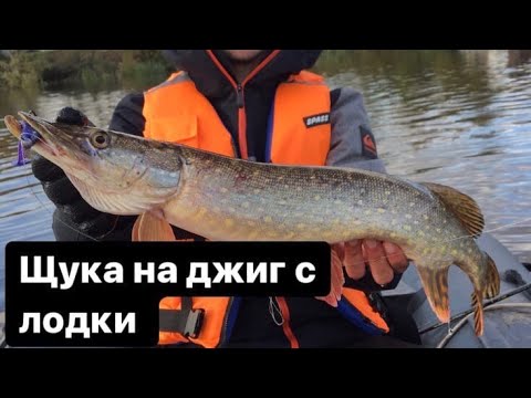 Видео: Нижняя Москва-река #2 - Щука на джиг с лодки