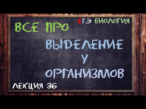 Видео: Л.36 | ВЫДЕЛЕНИЕ У ОРГАНИЗМОВ | ОБЩАЯ БИОЛОГИЯ ЕГЭ