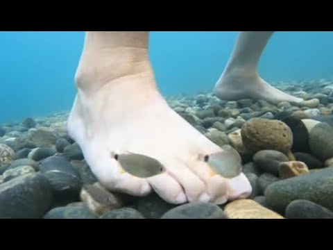 Видео: Чёрное море, Дивноморск ое! Бесплатный шпилинг. Релаксы и кайфы бархатного сезона. 8 сентября 2024 