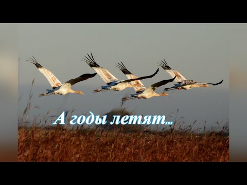 Видео: А годы летят.  Иоганн Браун.