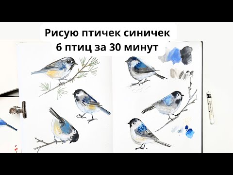 Видео: Рисую птичек синичек. 6 птичек за 30 минут. Смешанная техника.