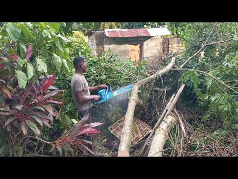 Видео: Помощь в расчистке дороги вокруг поселка и уборка двора после шторма