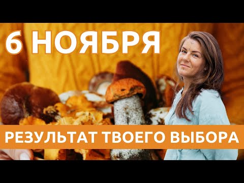 Видео: 6 НОЯБРЯ для ВСЕХ Знаков - Общие ЭНЕРГИИ! Выбор за ТОБОЙ!