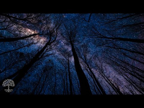 Видео: Стресс и тревога - детокс негативные эмоции, заживление сна