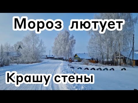 Видео: Мороз лютует❄️ Крашу стены