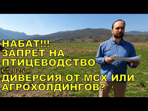 Видео: НАБАТ!!! ЗАПРЕТ НА ПТИЦЕВОДСТВО С 2025 ГОДА!!! ДИВЕРСИЯ ОТ МСХ ИЛИ АГРОХОЛДИНГОВ?