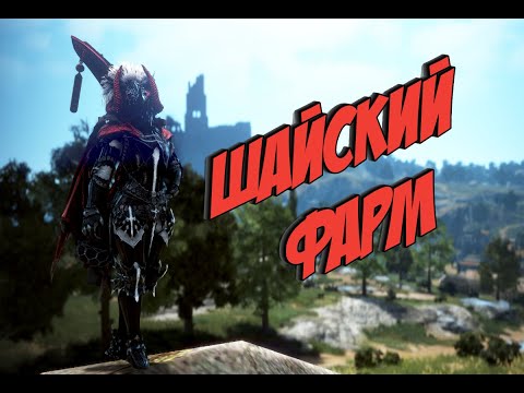 Видео: [Шай 66] Шайские выходные