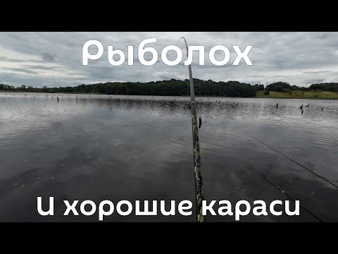 Видео: Наконец поймал достойного карася! Рыбалка на поплавок с отцом. Калининградская область.