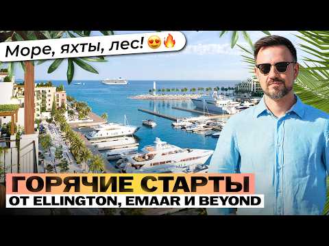 Видео: Mina Rashid или Maritime City? Что происходит с одним из самых перспективных районов Дубая.