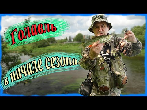 Видео: Голавль в начале сезона
