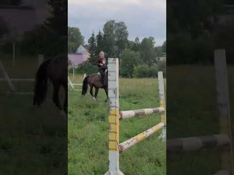 Видео: 22 августа 2025 г.
