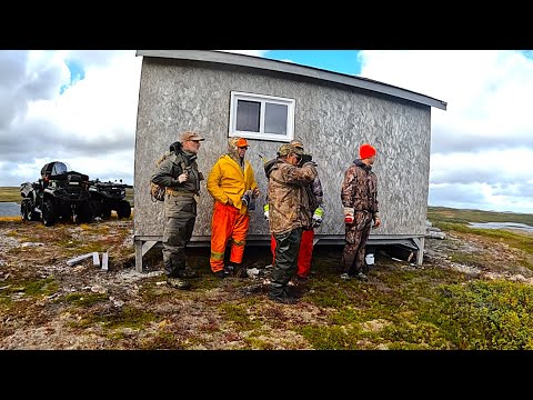 Видео: Охота на лося в уединённом домике в Ньюфаундленде, эпизод 122