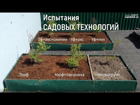 Видео: Садовые технологии - какие лучше? Результаты испытаний 2018.