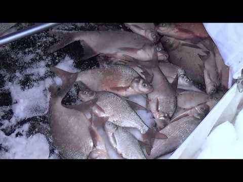 Видео: Зимняя рыбалка с ночевкой на Рузском водохранилище.