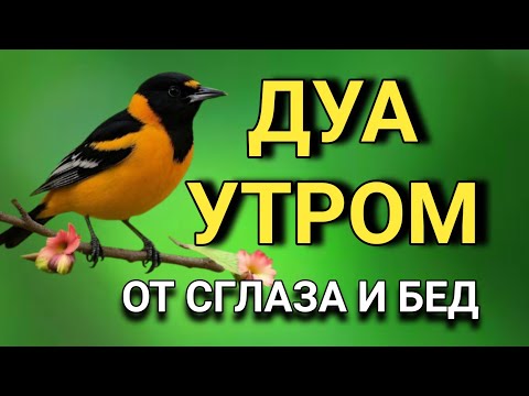 Видео: ☝️ МОЩНОЕ ДУА ОТ СГЛАЗА И ЗАВИСТИ! 🤲🔑💯