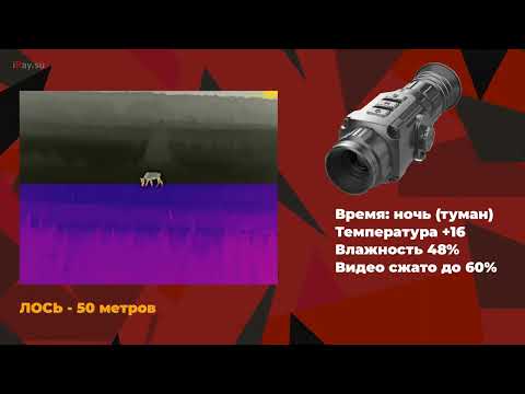 Видео: Тепловизионный прицел IRAY SAIM SCP19W   обзор, возможности, тесты на дистанциях