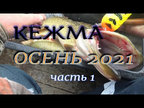 Видео: РЫБАЛКА # КЕЖМА # ОСЕНЬ 2021 Часть 1