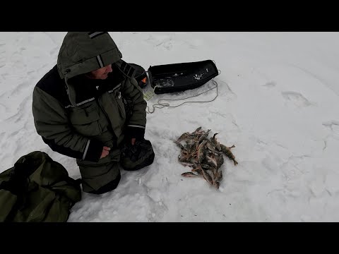 Видео: На Аргази за окунями.Рыбалка в  2024 году на Аргазях.