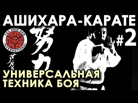 Видео: АШИХАРА-КАРАТЕ – универсальная техника БОЯ (продолжение).