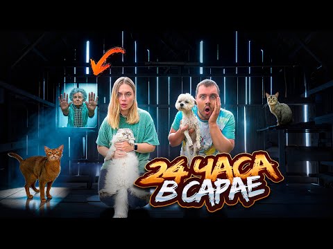 Видео: 24 ЧАСА В САРАЕ С КОТАМИ | СБЕГАЕМ В ДЕРЕВНЮ ЗОИ