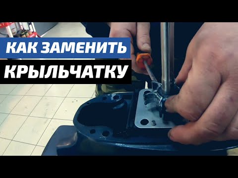Видео: Как заменить крыльчатку? Ремонт лодочных моторов.