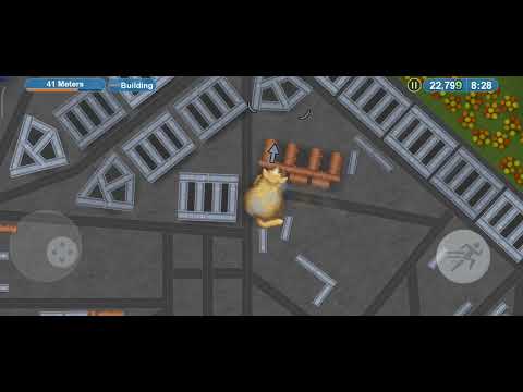 Видео: Я котик всё поедаю