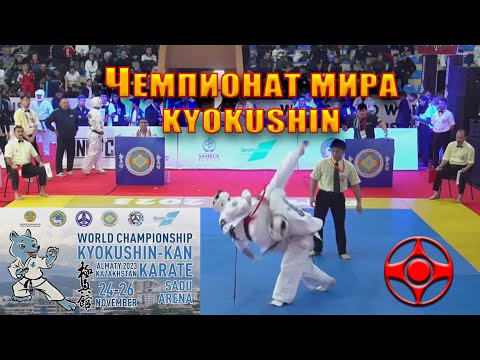 Видео: Веселый рассказ о Чемпионате Мира по киокусинкай карате 2023