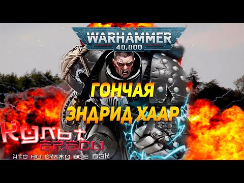 Видео: ЭНДРИД ХААР - ГРОМОВОЙ ВОИН ИЛИ СВЕРХАСТАРТЕС?