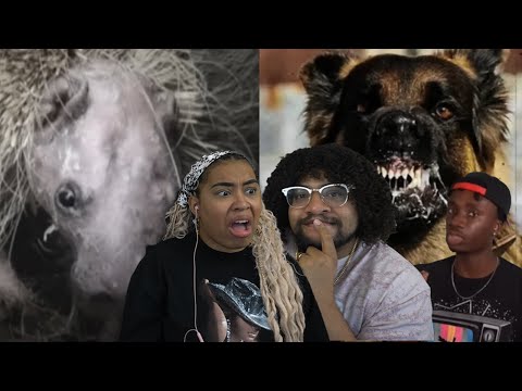 Видео: Болезни животных, достойные фильма ужасов | Casual Geographic Reaction