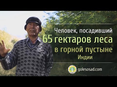 Видео: Человек, посадивший сам 65 Га леса в горной пустыне Индии
