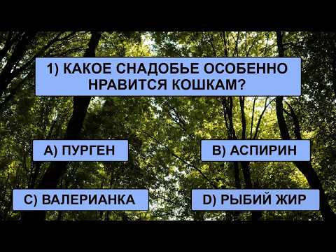 Видео: Всего 2% самых подкованных эрудитов преодолеют рубеж в 20 верных ответов!