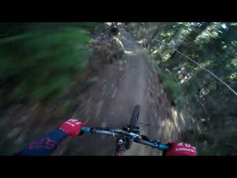 Видео: Осенний детокс Огород 2022