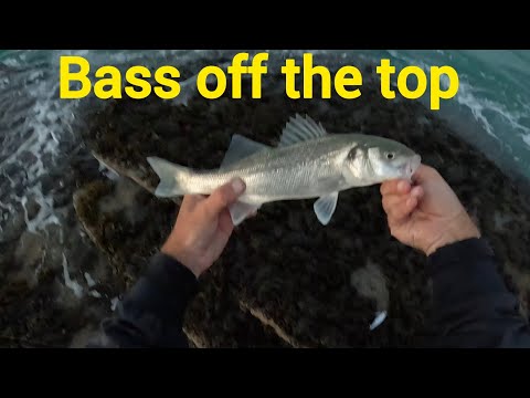 Видео: Ловля окуня на приманку в верхней части воды