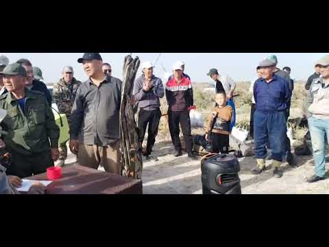 Видео: Рыбаки Каракалпакстан #рыбаки #рыбалка #рибалка #каракалпакстан #казахстан #rek #shrots #nokis #duet