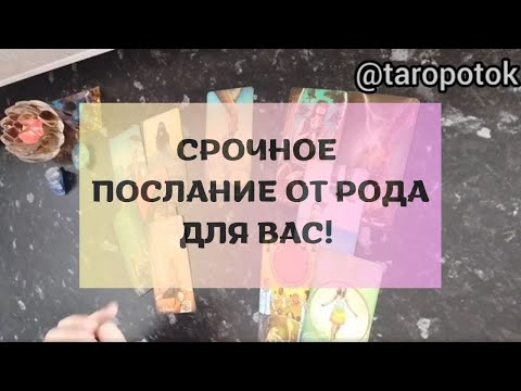 Видео: ❗️ СРОЧНОЕ ПОСЛАНИЕ ОТ РОДА ДЛЯ ВАС❗️
