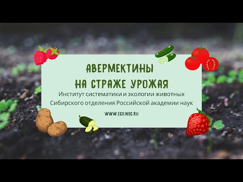 Видео: Авермектины на страже урожая