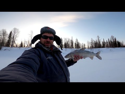 Видео: Рыбалка на реке. Погоня за трофеем. Часть третья