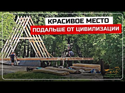 Видео: Будни Фермера / Посмотрели как формируются косяки после того как мы отпустили жеребцов