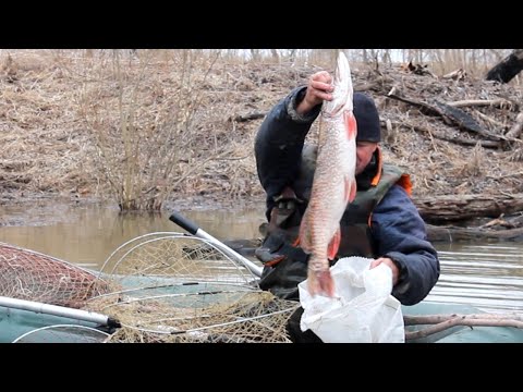 Видео: Проверка фитилей на реке Ишим ,Хороший улов